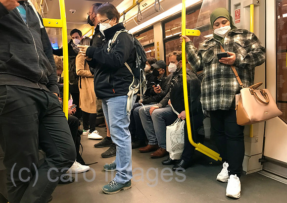 00S220414D292CAROEX.JPG