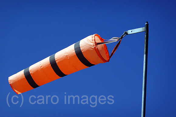 00S210902D069CAROEX.JPG