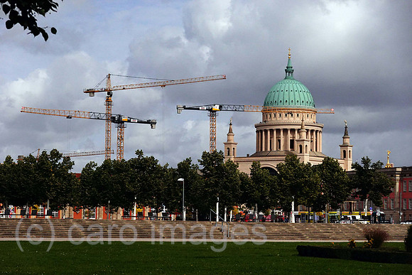 00S210922D080CAROEX.JPG