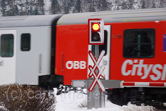 00S220129D101CAROEX.JPG