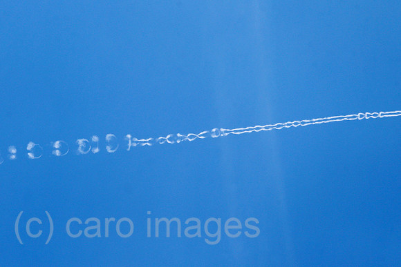 00S220418D348CAROEX.JPG