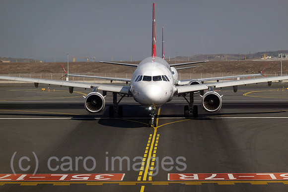 00S220327D233CAROEX.JPG