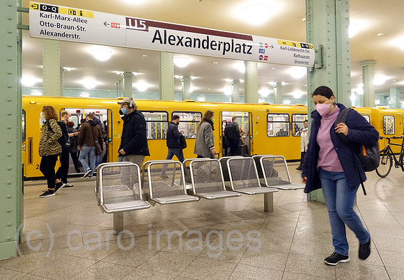 00S220414D297CAROEX.JPG