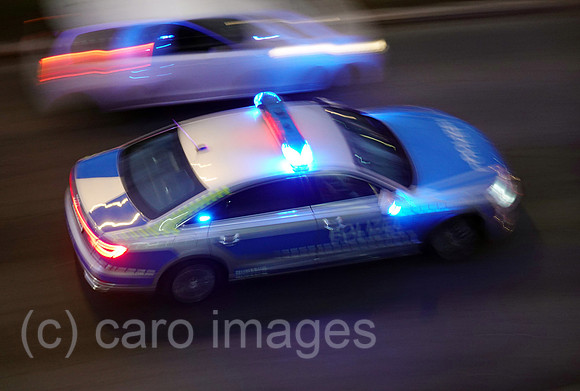 00S220127D094CAROEX.JPG