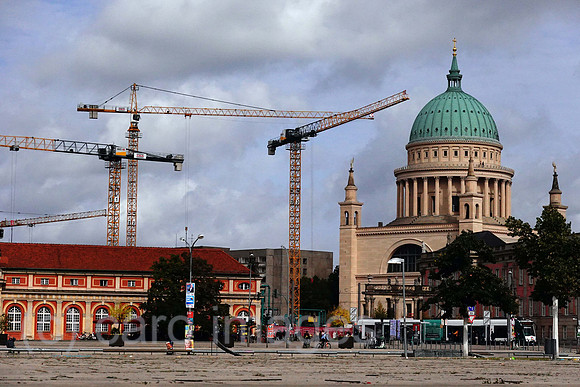 00S210922D081CAROEX.JPG
