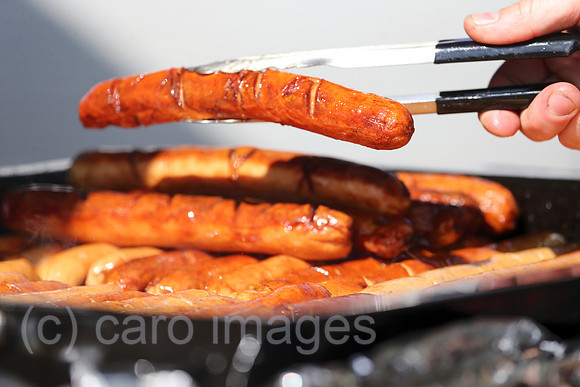 00S220423D376CAROEX.JPG