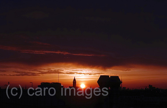 00S220407D259CAROEX.JPG