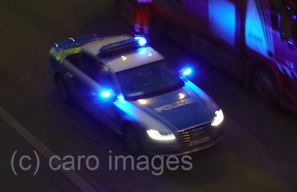 00S220127D093CAROEX.JPG