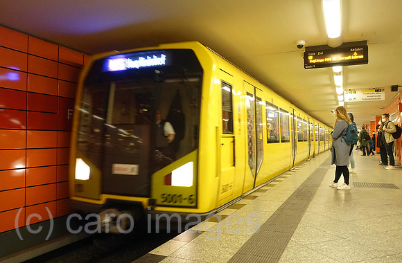 00S220414D291CAROEX.JPG