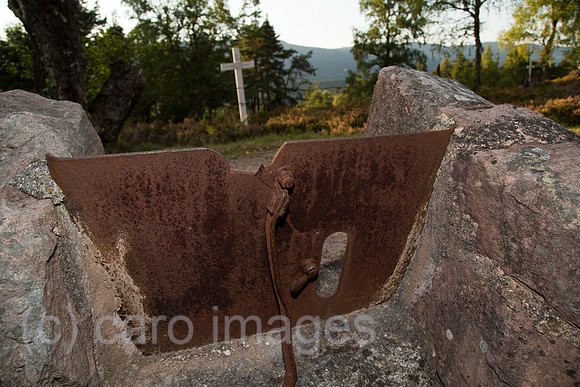 00A130906D528CARO.JPG