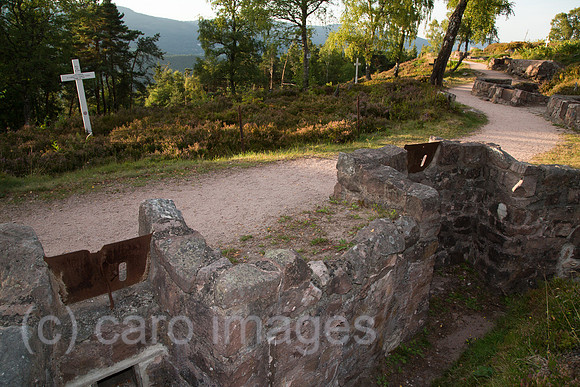 00A130906D530CARO.JPG