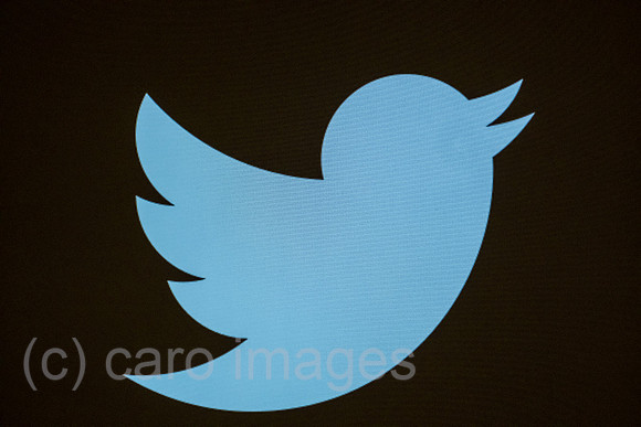 Deutschland, Bremen - Der blaue Vogel, das twitter-Logo auf einem Bildschirm