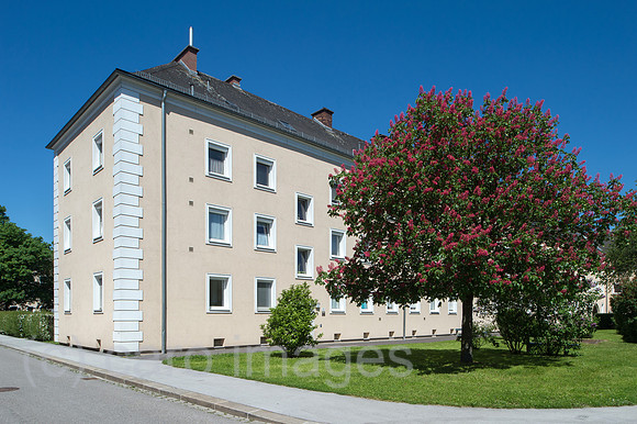 0CE170518D004CARO.JPG