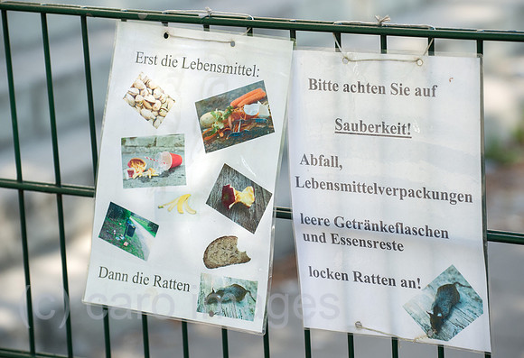 0CE170427D001CARO.JPG