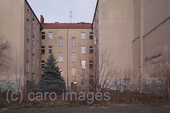 00P151126D039CARO.JPG