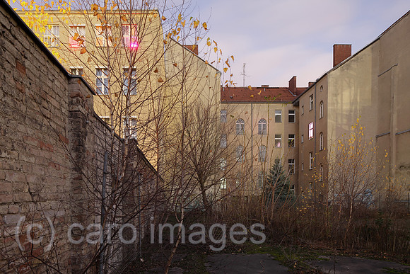 00P151126D047CARO.JPG