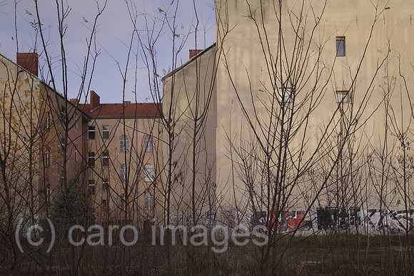 00P151126D045CARO.JPG