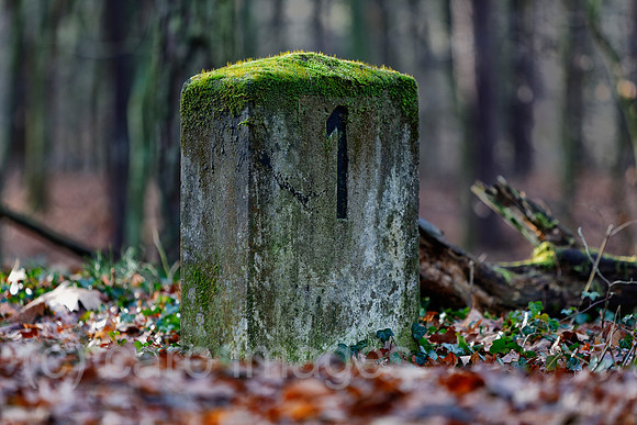 EJH140103D400CARO.JPG