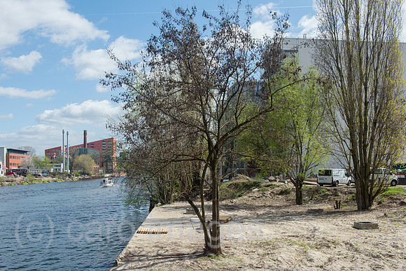 0CE160420D015CARO.JPG