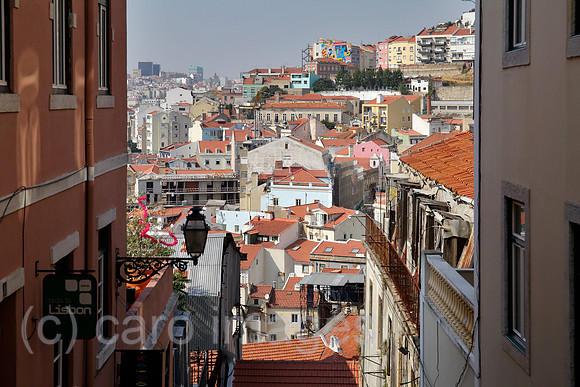 00P160813D943CARO.JPG