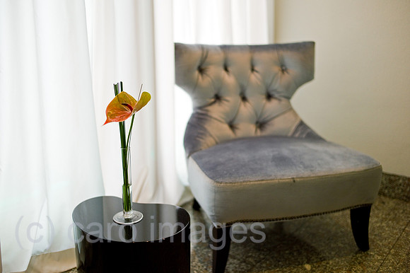 00B100326D008CARO.JPG