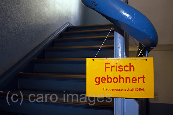 00B100607D005CARO.JPG