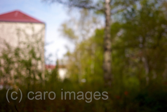 00B100424D002CARO.JPG