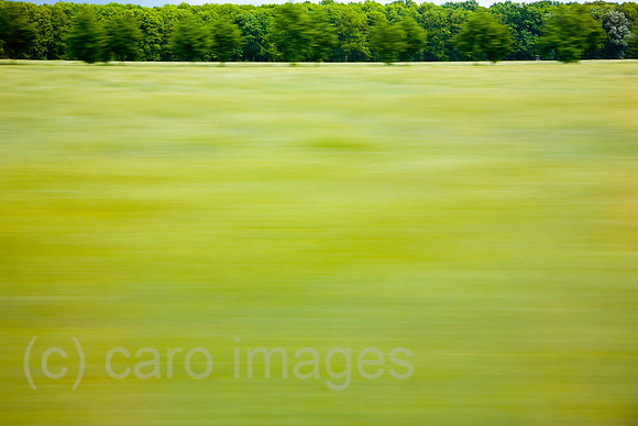 0GB090612D106CARO.JPG