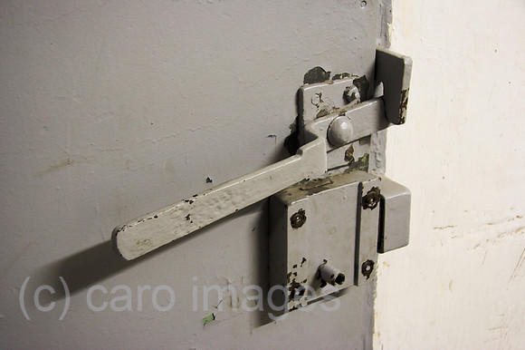 00P050921D007CAROE.JPG