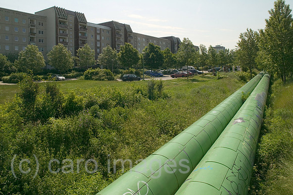 00P050614D014CARO.JPG