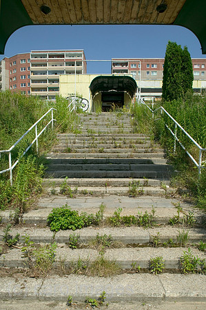 00P050704D019CARO.JPG