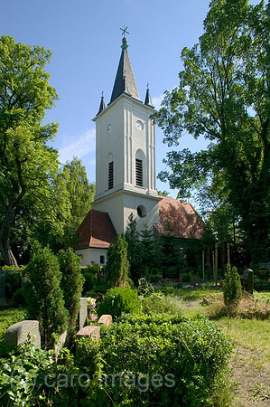 00P050621D010CARO.JPG