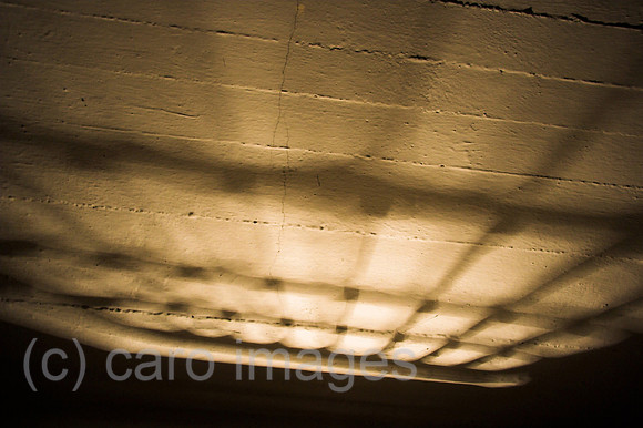 00P050921D005CARO.JPG