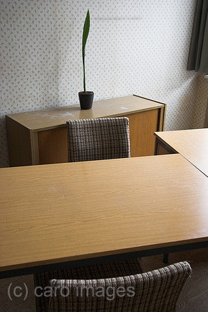 00P050921D015CAROE.JPG