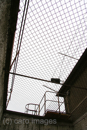 00P050921D017CAROE.JPG