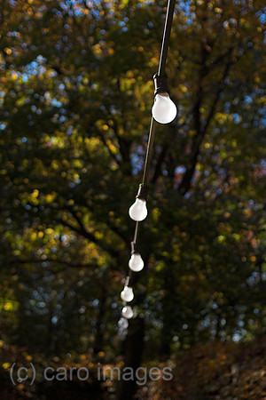 00P051106D007CAROE.JPG