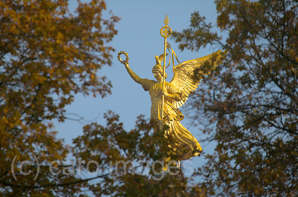 00P051114D005CAROE.JPG
