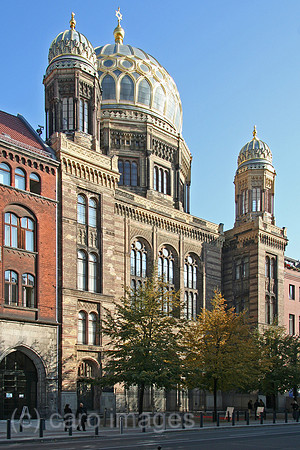 00P051012D004CAROE.JPG
