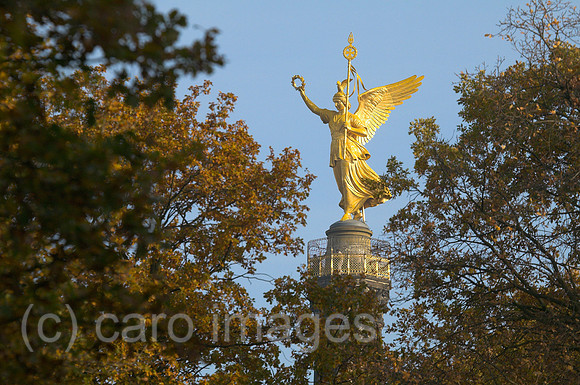 00P051114D006CARO.JPG