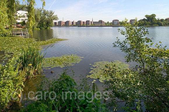 00P050621D017CARO.JPG