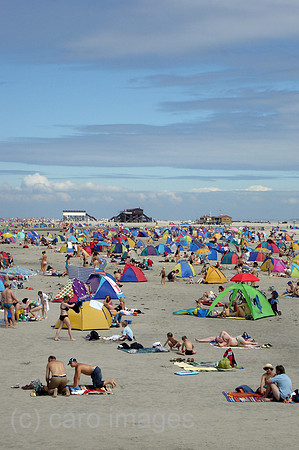 00P050718D006CAROE.JPG