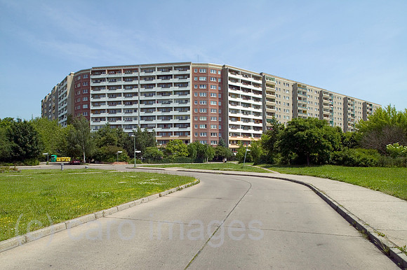 00P050614D019CARO.JPG