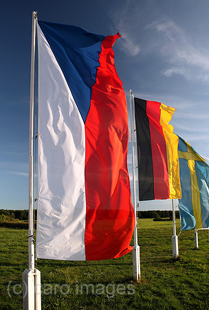 00S080831D007CARO.JPG