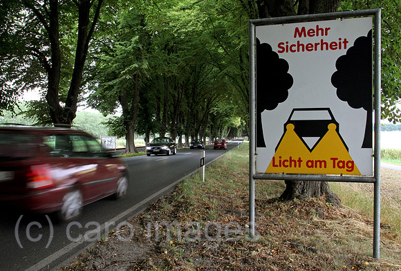00S080730D805CARO.JPG