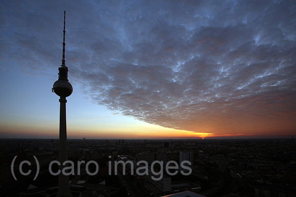00S080927D190CARO.JPG