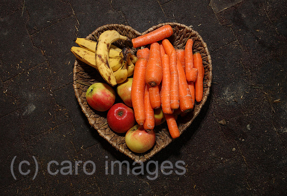 00S080924D049CARO.JPG