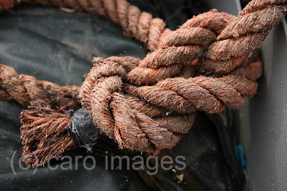00S080814D019CARO.JPG