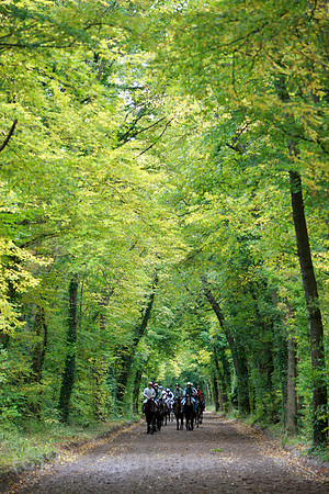 00S081006D012CARO.JPG
