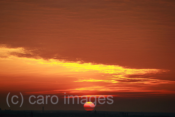 00S080927D186CARO.JPG