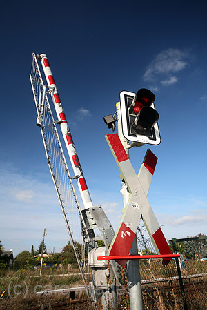 00S080927D152CARO.JPG